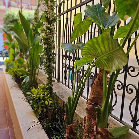 Suebi Rooms Термоли Экстерьер фото