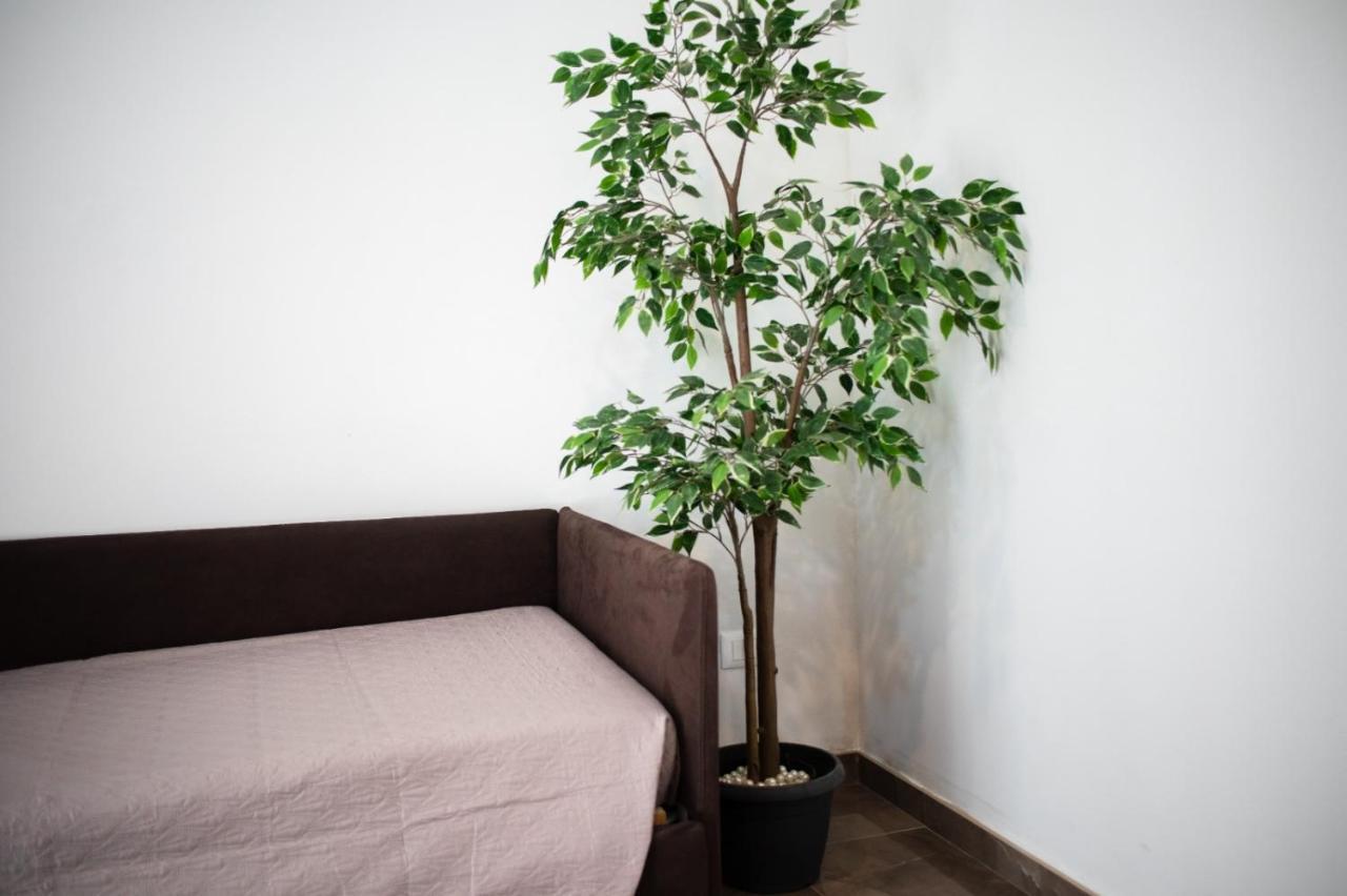 Suebi Rooms Термоли Экстерьер фото
